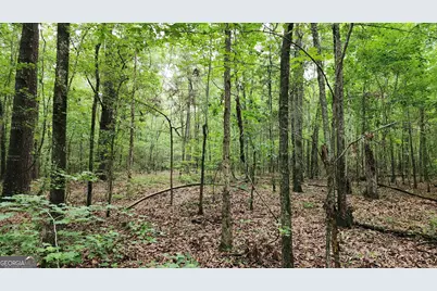 143 Highway 341 S, Barnesville, GA 30204 - Photo 5
