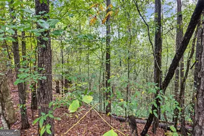 2251 Sumner Court NE LOT #4, Conyers, GA 30012 - Photo 13