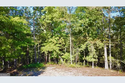0000 Rebekah Rodge Road, Talking Rock, GA 30175 - Photo 3