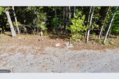 0000 Rebekah Rodge Road, Talking Rock, GA 30175 - Photo 29