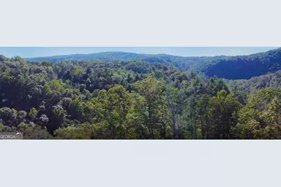 0000 Rebekah Rodge Road, Talking Rock, GA 30175 - Photo 33