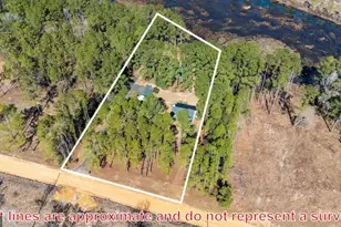 832 Ramblin Rd, Quitman, GA 31643 - Photo 29