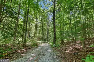 252 Navigator Ln, Tiger, GA 30576 - Photo 3