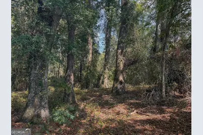 0 Sam Bradley, Americus, GA 31709 - Photo 5