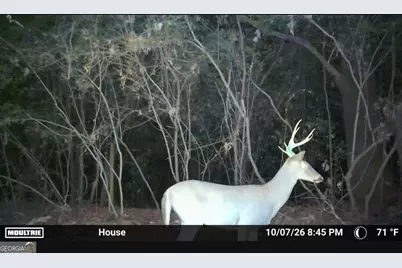 0 Sam Bradley, Americus, GA 31709 - Photo 33