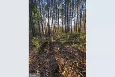 0 Sam Bradley, Americus, GA 31709 - Photo 19