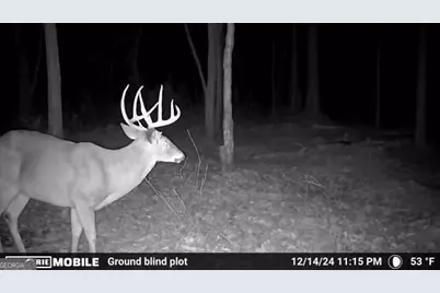 0 Sam Bradley, Americus, GA 31709 - Photo 1