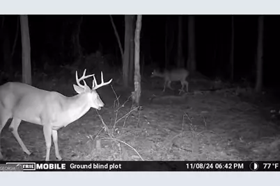 0 Sam Bradley, Americus, GA 31709 - Photo 39