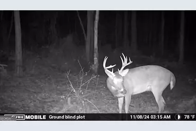 0 Sam Bradley, Americus, GA 31709 - Photo 23