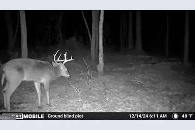 0 Sam Bradley, Americus, GA 31709 - Photo 45