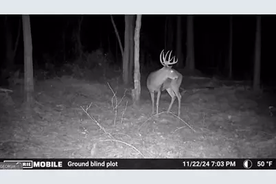 0 Sam Bradley, Americus, GA 31709 - Photo 27