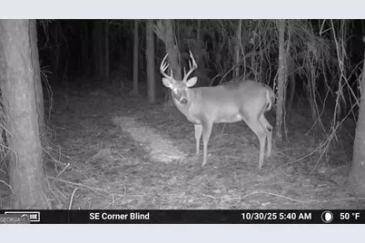 0 Sam Bradley, Americus, GA 31709 - Photo 31