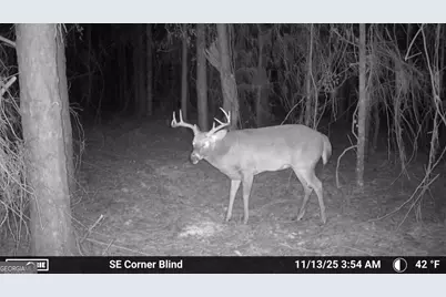 0 Sam Bradley, Americus, GA 31709 - Photo 43