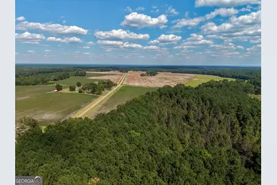 0 Sam Bradley, Americus, GA 31709 - Photo 9