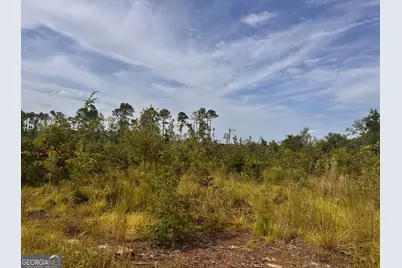 489 New Normantown Road, Vidalia, GA 30474 - Photo 1