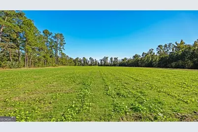 991 Flatwoods Trail, Glennville, GA 30427 - Photo 57