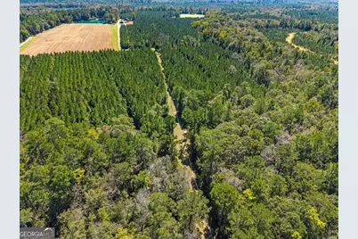 991 Flatwoods Trail, Glennville, GA 30427 - Photo 13