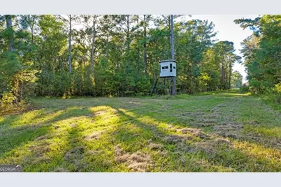 991 Flatwoods Trail, Glennville, GA 30427 - Photo 69