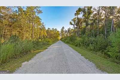 991 Flatwoods Trail, Glennville, GA 30427 - Photo 9