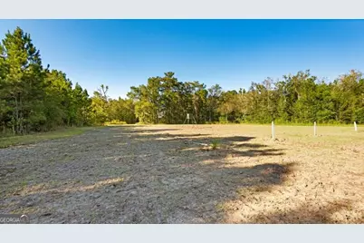 991 Flatwoods Trail, Glennville, GA 30427 - Photo 63