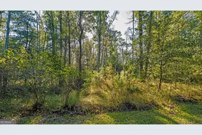 991 Flatwoods Trail, Glennville, GA 30427 - Photo 59