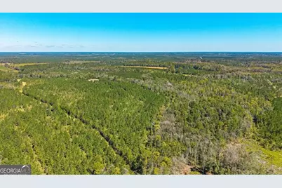 991 Flatwoods Trail, Glennville, GA 30427 - Photo 119
