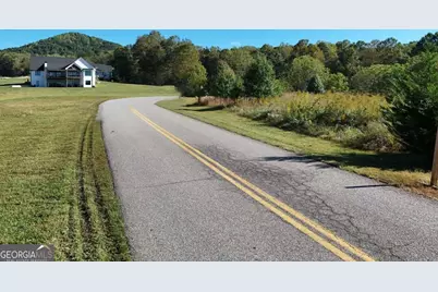Tr 2 Arbor Acres Farm Road, Blairsville, GA 30512 - Photo 1