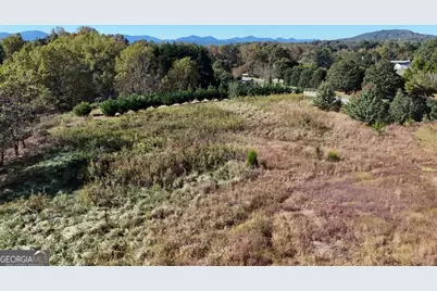 Tr 2 Arbor Acres Farm Road, Blairsville, GA 30512 - Photo 5