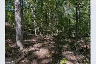 1216 Buddy Boy Thornton Road, Richland, GA 31825 - Photo 15