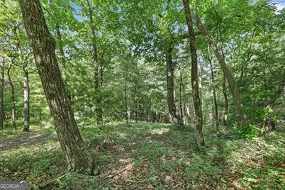 Lot 58 Mountain Sweet Drive, Clarkesville, GA 30523 - Photo 15