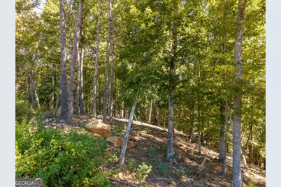 Lot 62 Ridge Drive #62, Blue Ridge, GA 30513 - Photo 5
