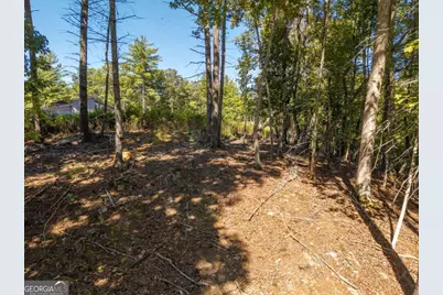 Lot 62 Ridge Drive #62, Blue Ridge, GA 30513 - Photo 9
