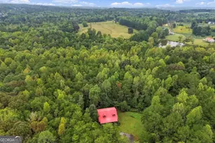 445 Browning Rd, Fairmount, GA 30139 - Photo 49