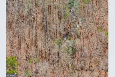 0 Clem Lowell Road, Carrollton, GA 30116 - Photo 11