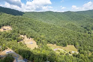 280 Wildberry Lane, Hayesville, NC 28904 - Photo 51