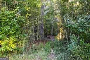 217 Forrester Cemetery Rd, Covington, GA 30014 - Photo 35