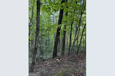 0 Round Top #43 B, Clayton, GA 30525 - Photo 3