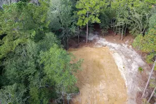 0 Canoochee Dr, Claxton, GA 30417 - Photo 1