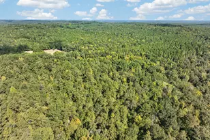881 King Rd, Gordon, GA 31031 - Photo 31