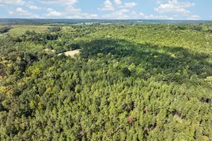 881 King Rd, Gordon, GA 31031 - Photo 5