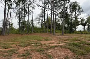 1509 E 4th St Ext, Alma, GA 31510 - Photo 15