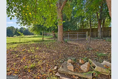 7056 Geneva Highway, Box Springs, GA 31801 - Photo 13