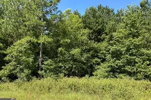 0 High Crest Ln, Hawkinsville, GA 31036 - Photo 1