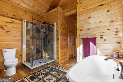 208 Cohutta Overlook Drive, Blue Ridge, GA 30513 - Photo 33
