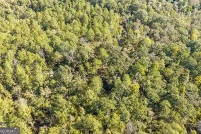 000 Corley Road, Hephzibah, GA 30815 - Photo 19