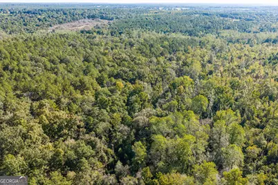 000 Corley Road, Hephzibah, GA 30815 - Photo 5