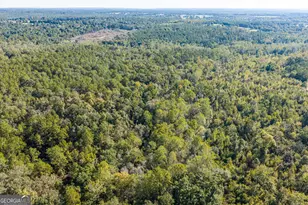 000 Corley Rd, Hephzibah, GA 30815 - Photo 1