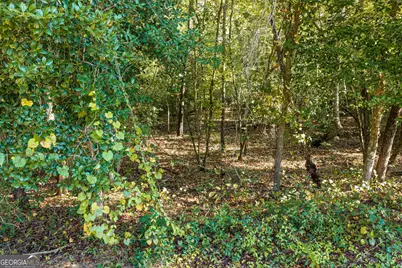 000 Corley Road, Hephzibah, GA 30815 - Photo 13