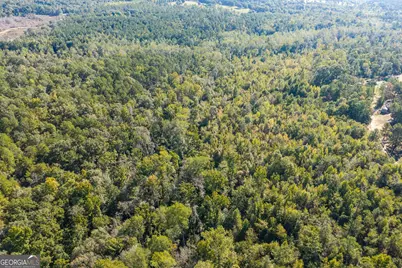 000 Corley Road, Hephzibah, GA 30815 - Photo 23