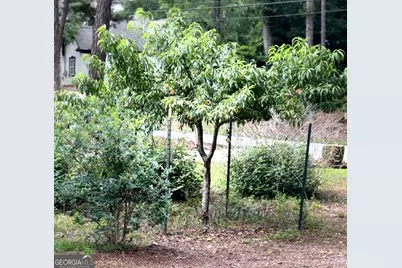 2904 Union Grove Road, Conyers, GA 30012 - Photo 63